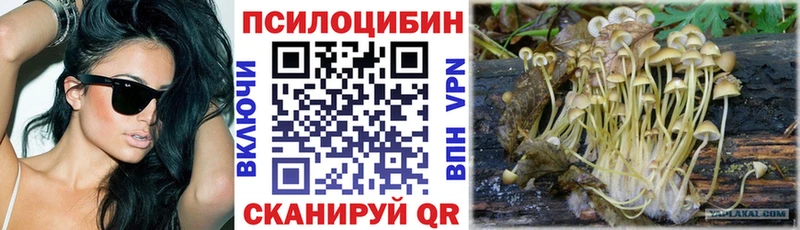 Галлюциногенные грибы Cubensis  Чердынь 